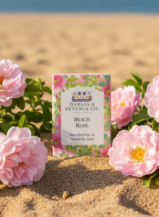 Beach Rose