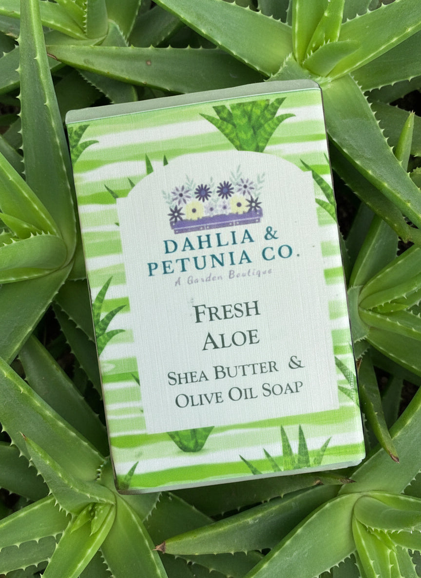 Fresh Aloe