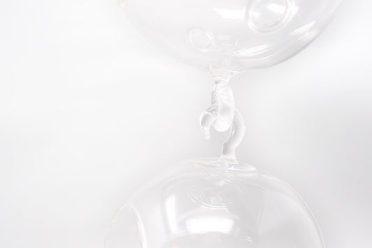 Hanging Globe Terrariums with Double-Hooks
