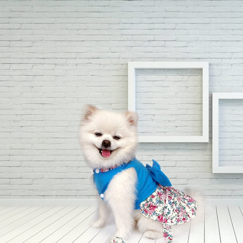 Blue Floral Harness Dog Dress & Leash Set