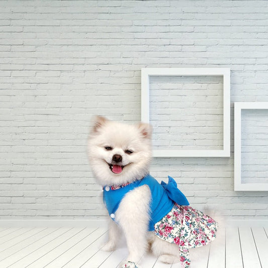 Blue Floral Harness Dog Dress & Leash Set