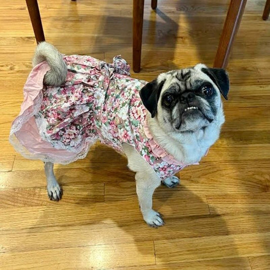 Vintage Rose Harness Dog Dress & Leash Set