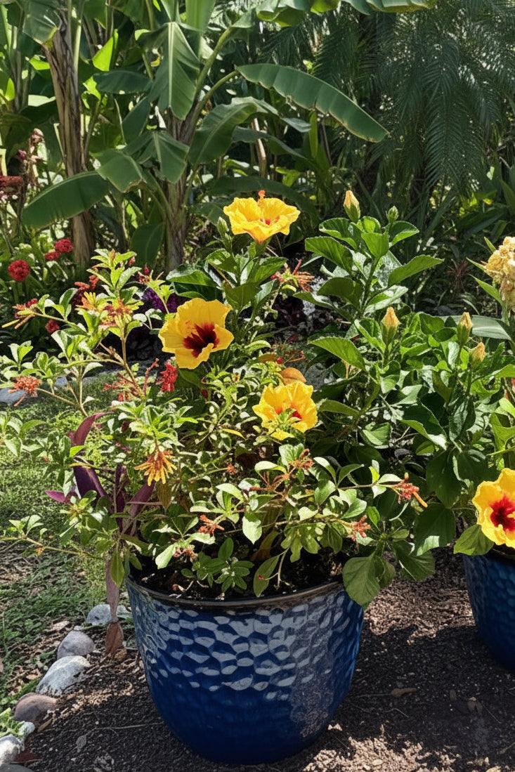 “Tropical Heat” Patio Planter