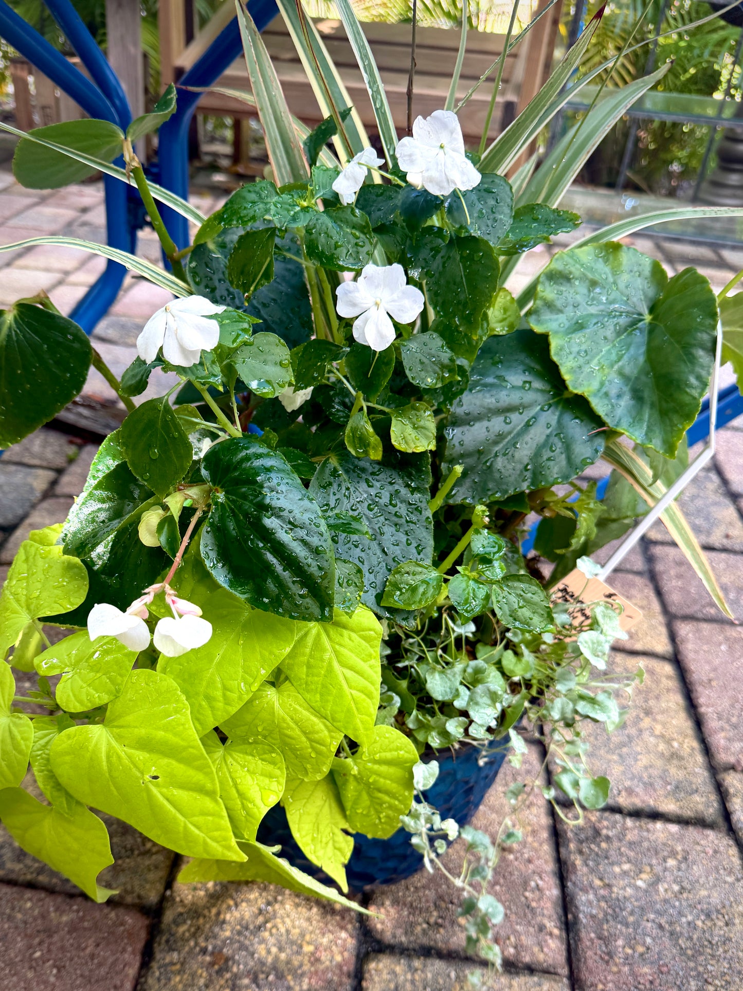 Classic Elegance Medium Shade Planter