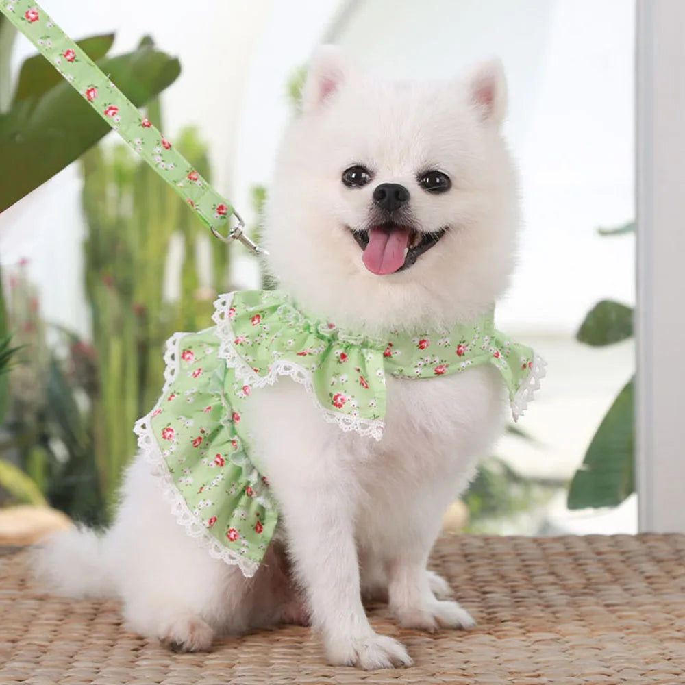 Dainty Floral & Lace Dog Harness