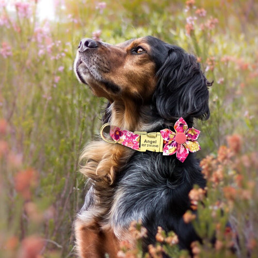 Pink Rose Flower Dog Collar & Leash Set | Personalized Free