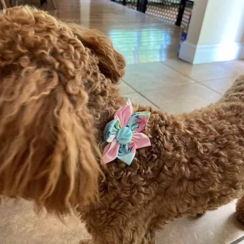 Pastel Pink Flower Dog Collar & Leash Set with Matching Poop Bag Case | Personalized Free