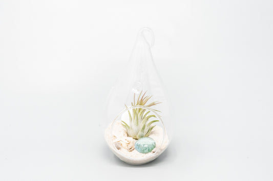 Set of 3 Teardrop Beach Terrariums with White Sand