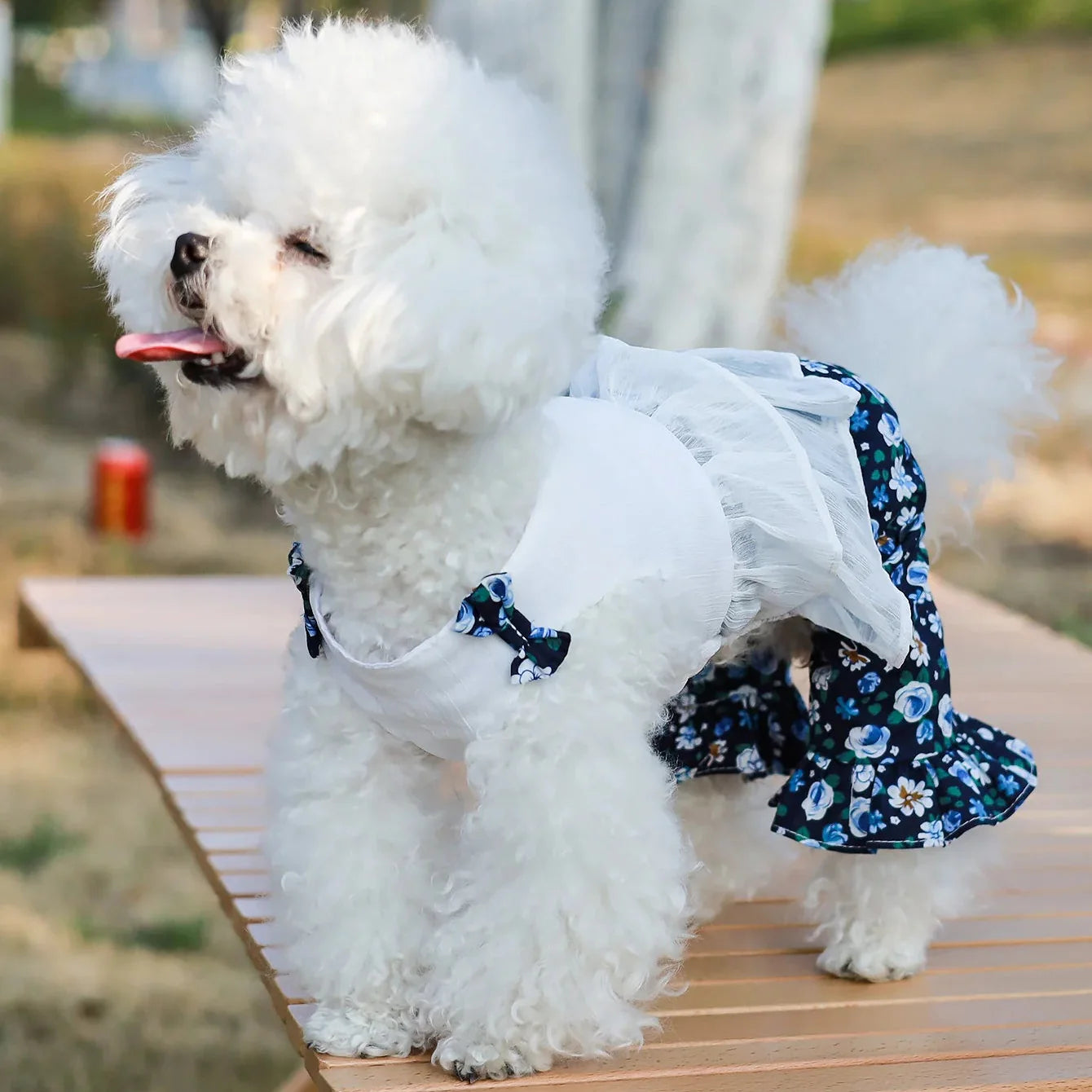 Floral Ruffle Dog Romper – Pink or White