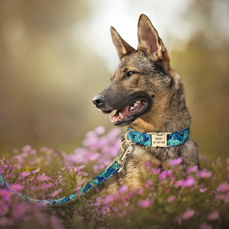 Floral Dog Collar & Leash Set With Matching Poop Bag Case | Personalized Free