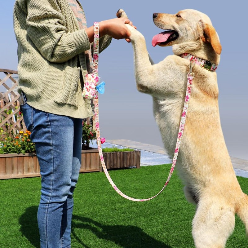 Floral Dog Collar & Leash Set With Matching Poop Bag Case | Personalized Free