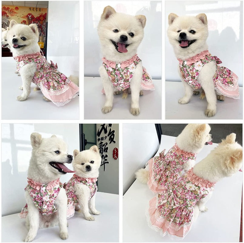 Vintage Rose Harness Dog Dress & Leash Set