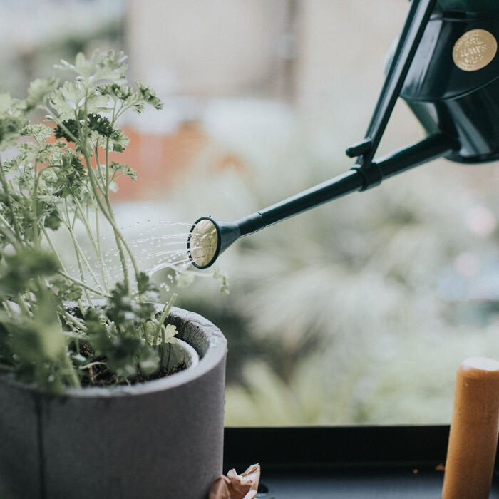 Specialty Gardening Supplies