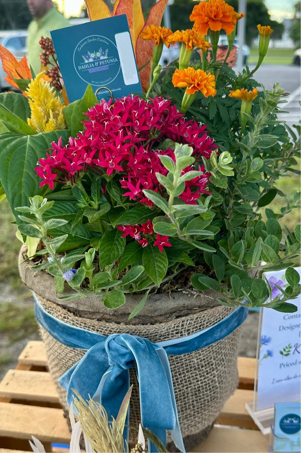 Signature Outdoor Container Garden Creations (Local Delivery/Pick-Up Only)
