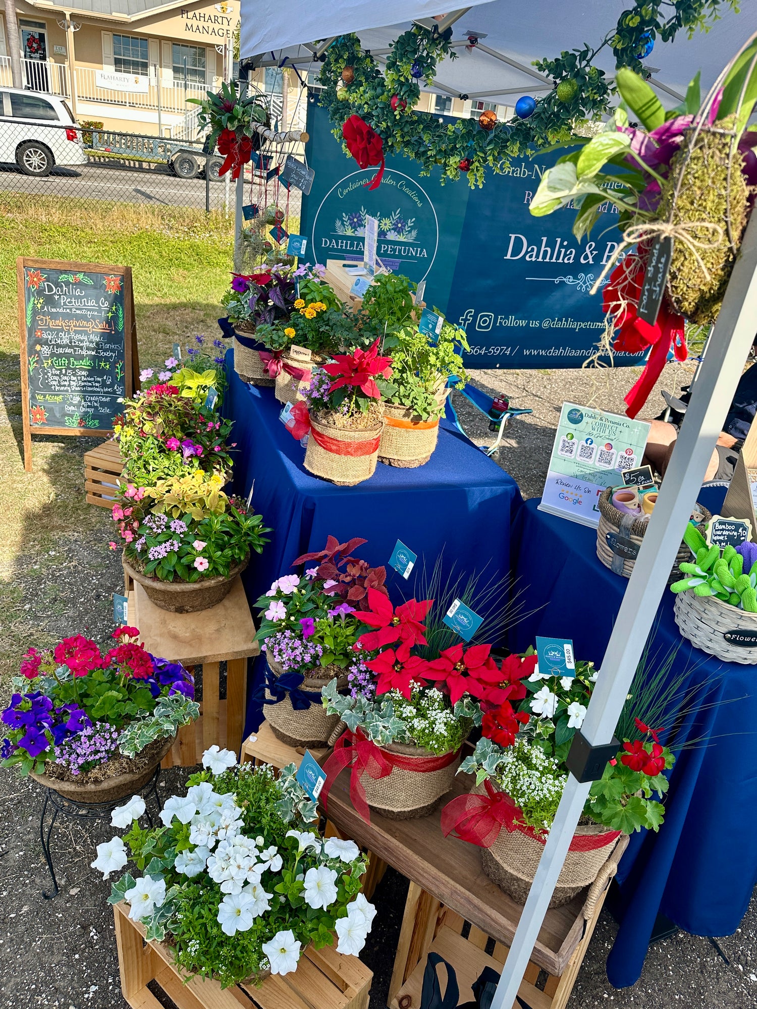 Custom Designed Ready-Made Container Garden Creations (Local Delivery/Pick-Up Only)