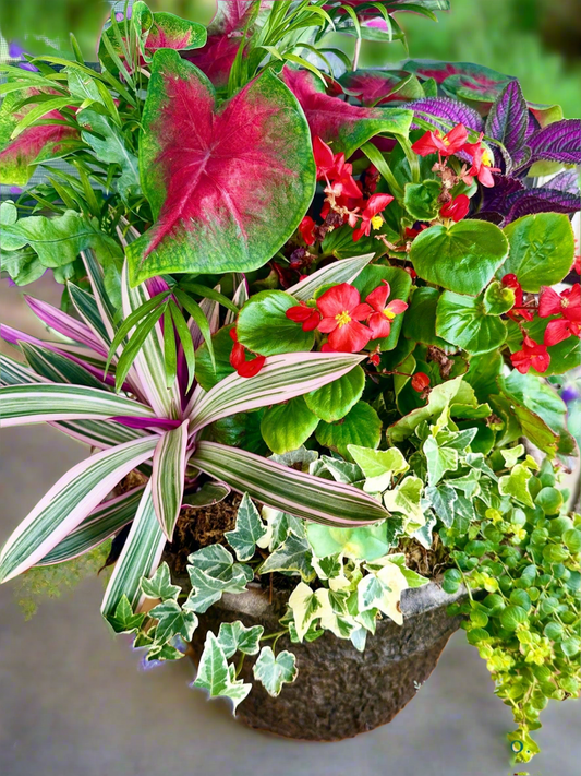 12 inch Drop-In Fiber Planter with shade loving live outdoor plants