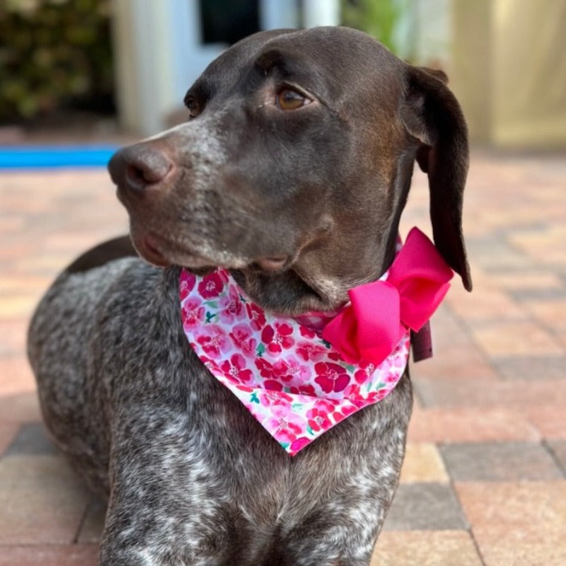 Pink Flowers Bandana Dog Collar With Bow