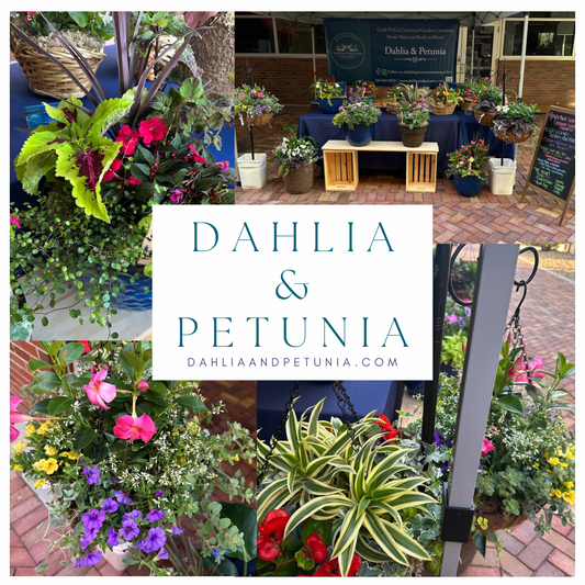 Dahlia & Petunia Co. Digital Gift Card