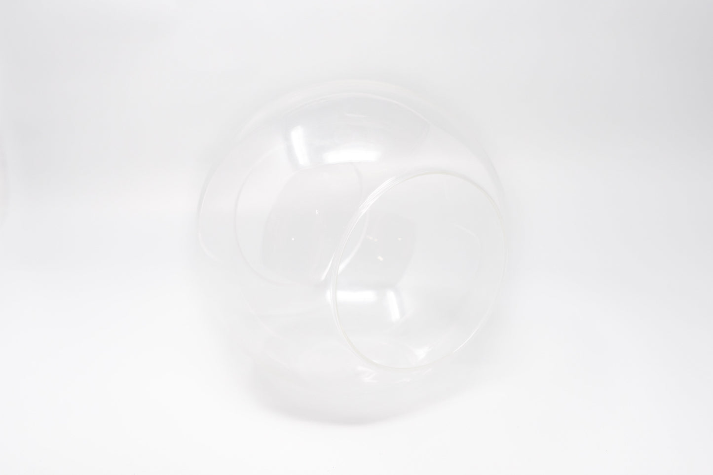 Large Glass Terrarium with 2 Open Ends