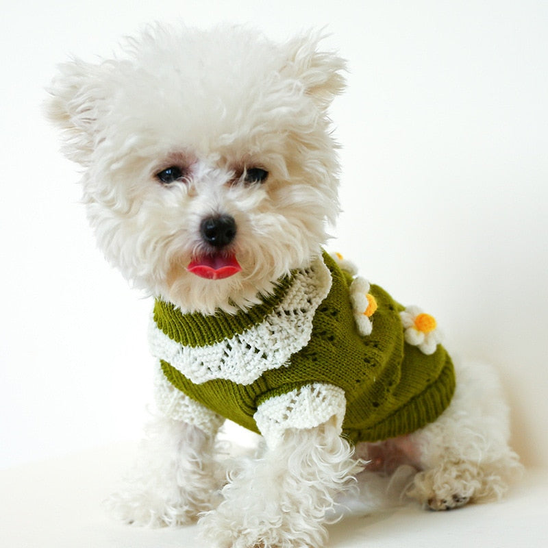 Blossoming Floral Dog Sweater