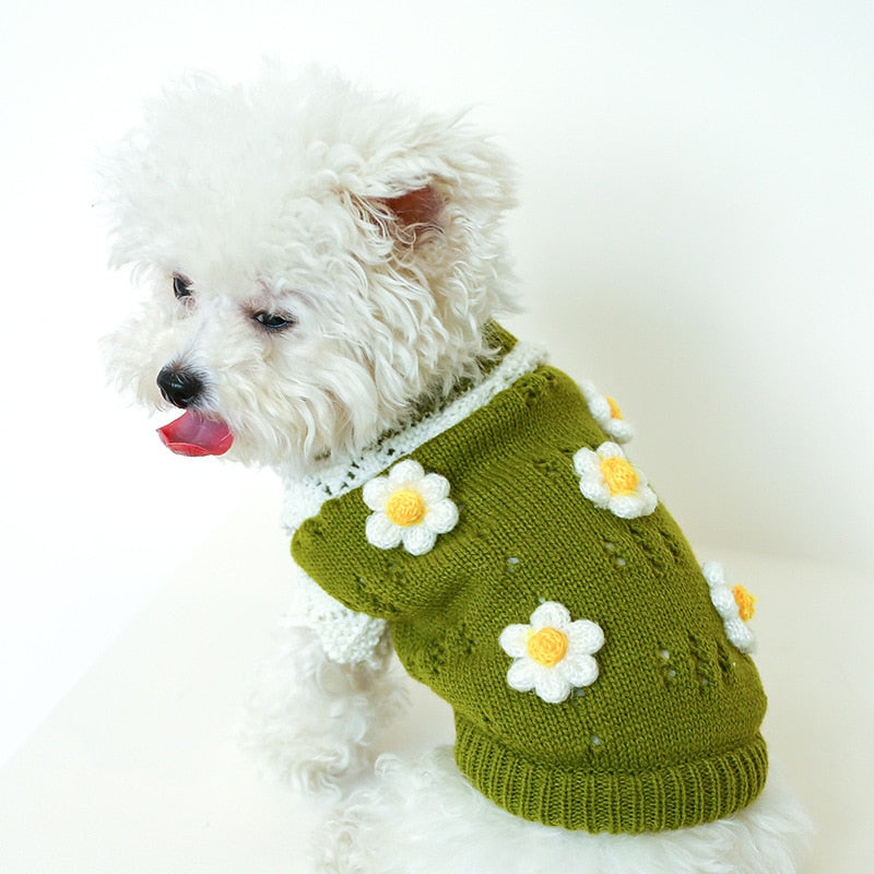 Blossoming Floral Dog Sweater