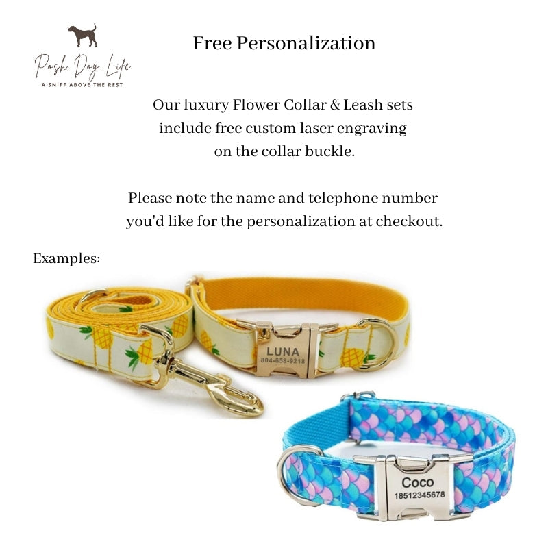 Blue Flower Dog Collar & Leash Set with Matching Poop Bag Case | Personalized Free
