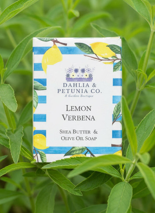 Lemon Verbena