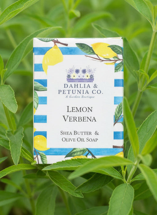 Lemon Verbena
