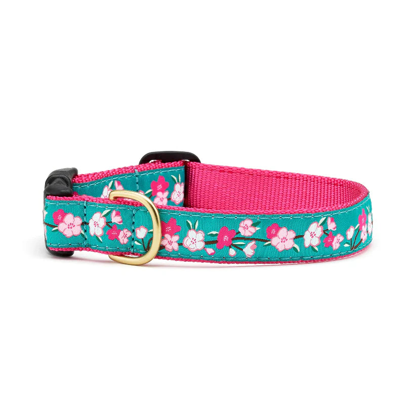Up Country Cherry Blossoms Dog Collar & Leash Matching Set