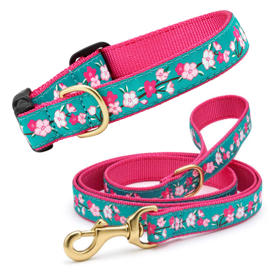 Up Country Cherry Blossoms Dog Collar & Leash Matching Set
