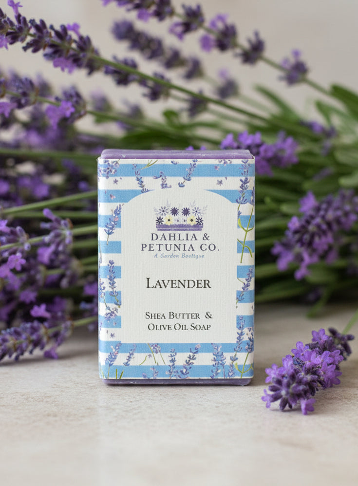 Lavender