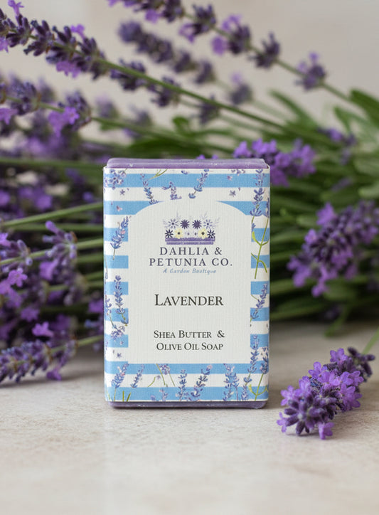 Lavender