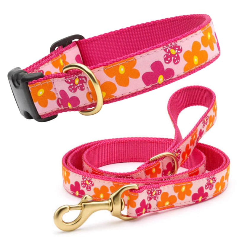 Up Country Flower Power Collar & Leash Matching Set