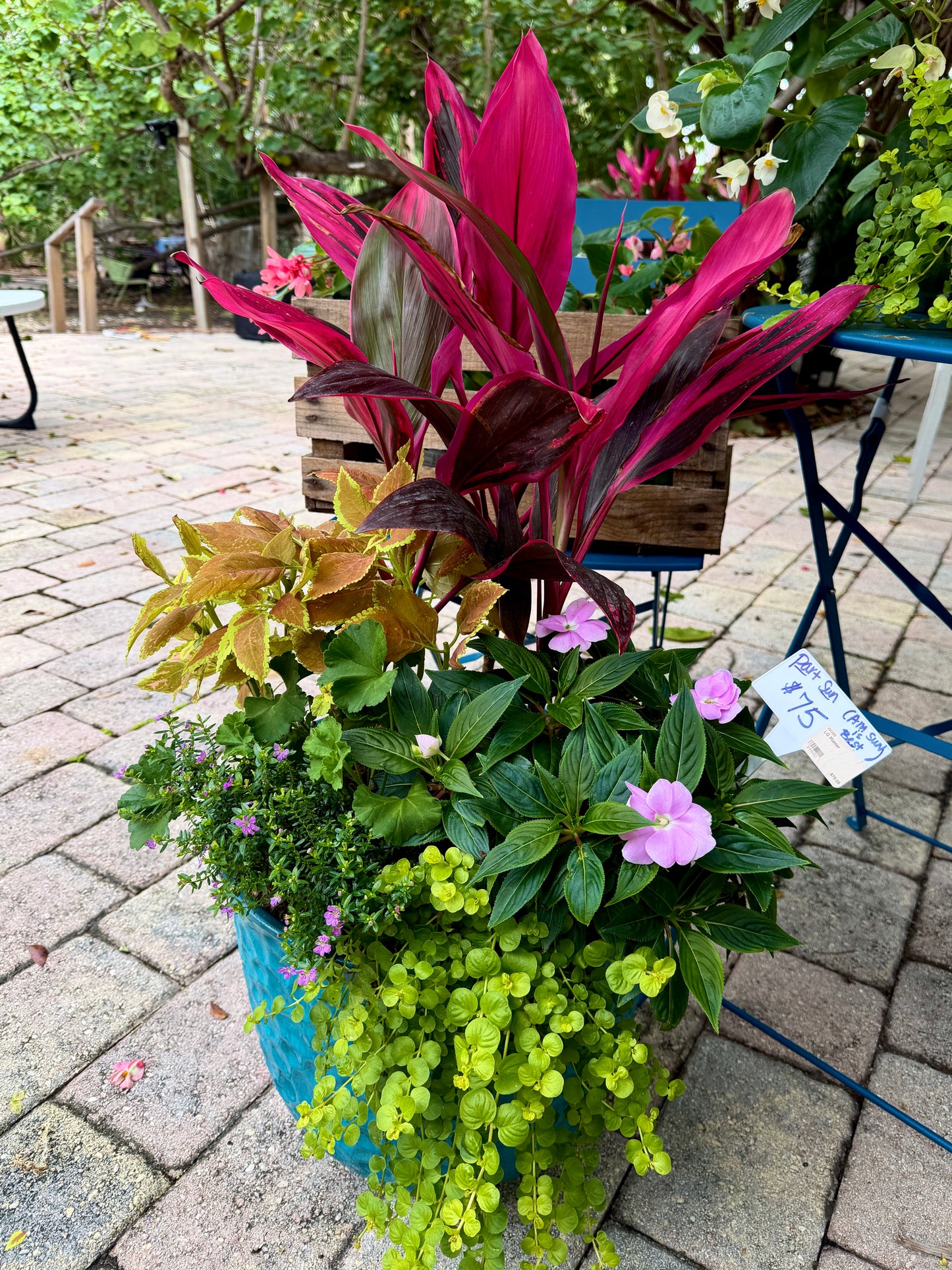 Sunset Part-Sun Statement Planter