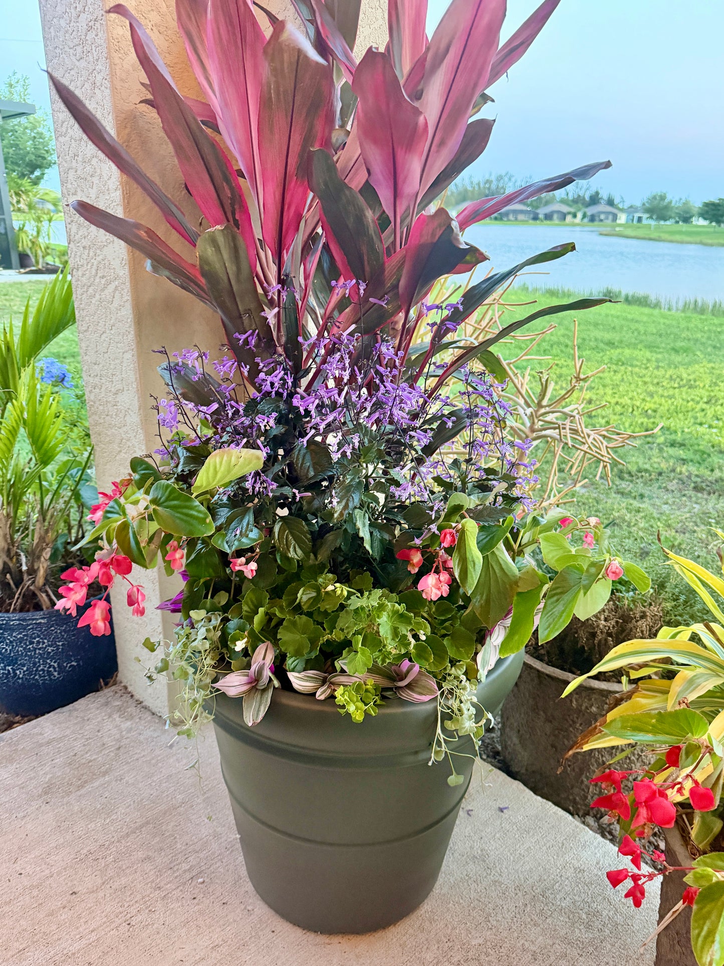 “Blushing in the Shade”statement planter