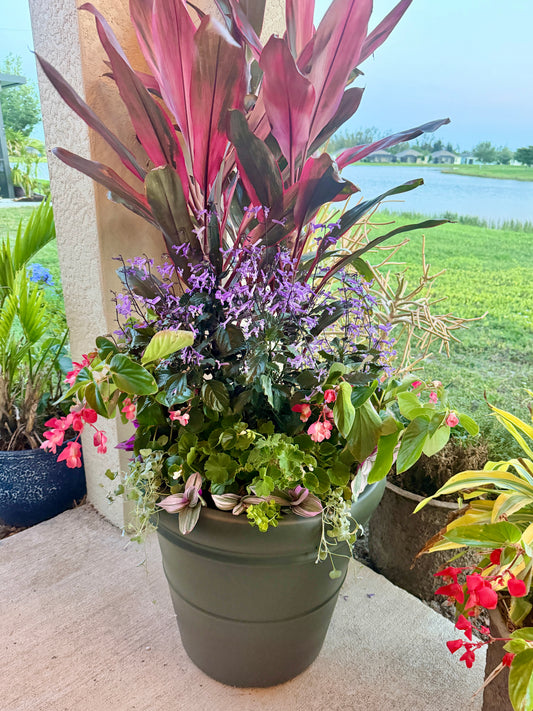 “Blushing in the Shade”statement planter