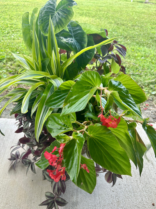 A 14” diameter Fiber Drop-In Pot planted with live lush tropical foliage