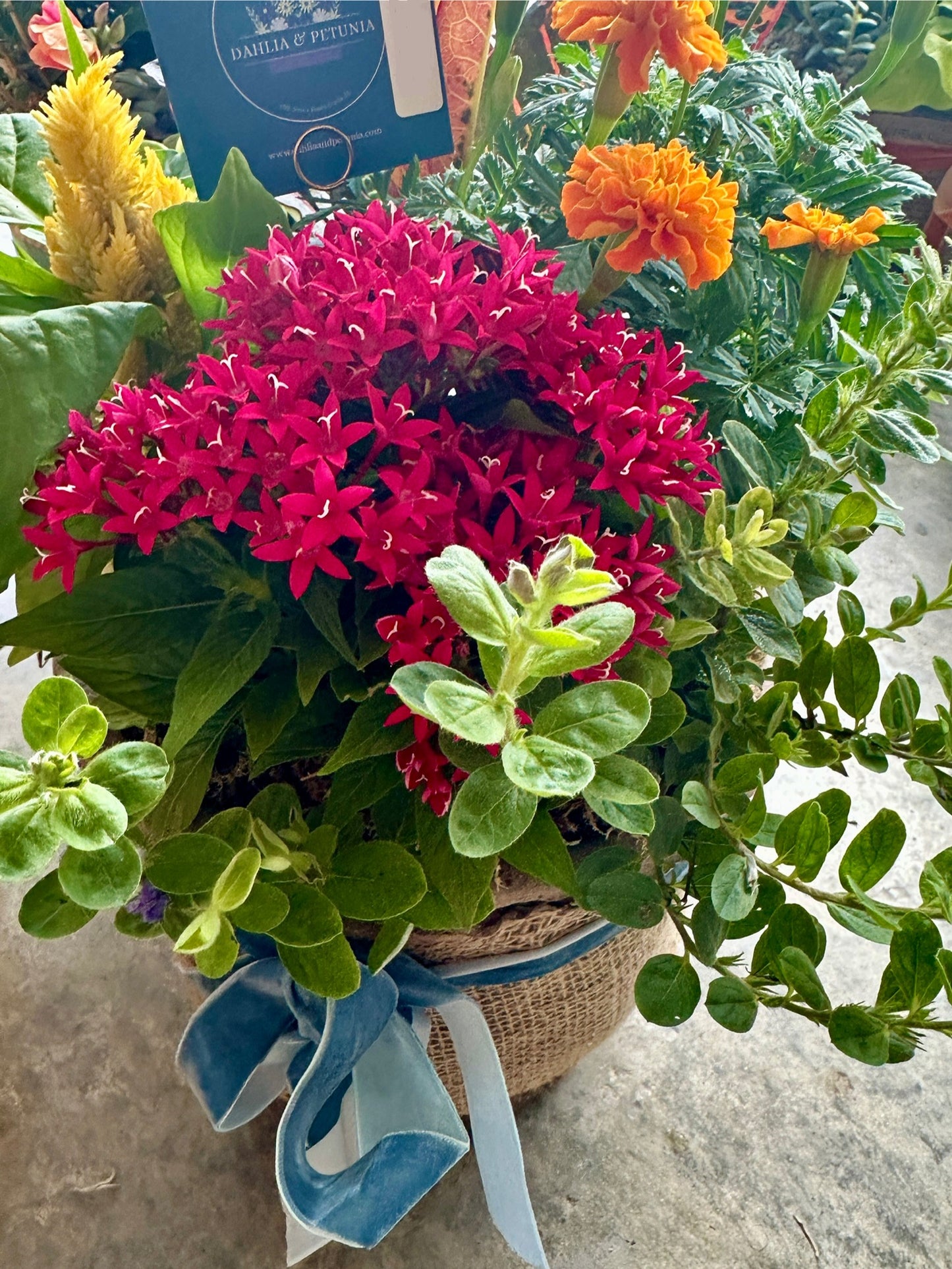 8” drop-in fall fiber planter