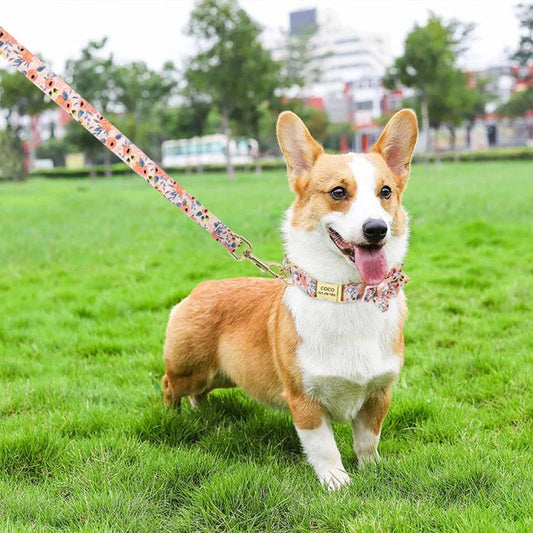 Peachy Pink Flower Dog Collar & Leash Set | Personalized Free