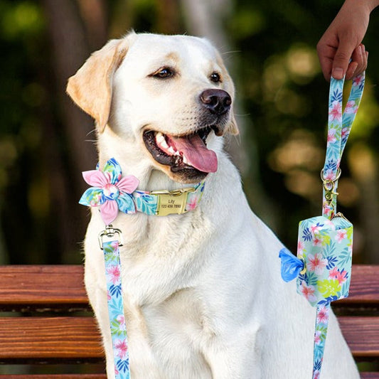 Pastel Pink Flower Dog Collar & Leash Set with Matching Poop Bag Case | Personalized Free
