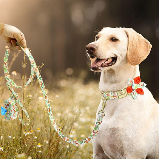 Orange Flower Dog Collar & Leash Set with Matching Poop Bag Case | Personalized Free