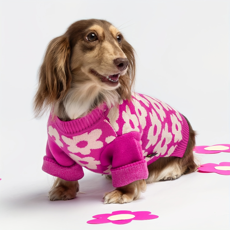 Hot Pink Floral Dog Sweater