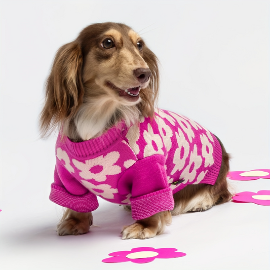 Hot Pink Floral Dog Sweater