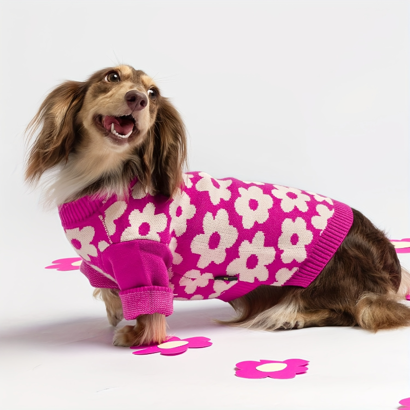 Hot Pink Floral Dog Sweater