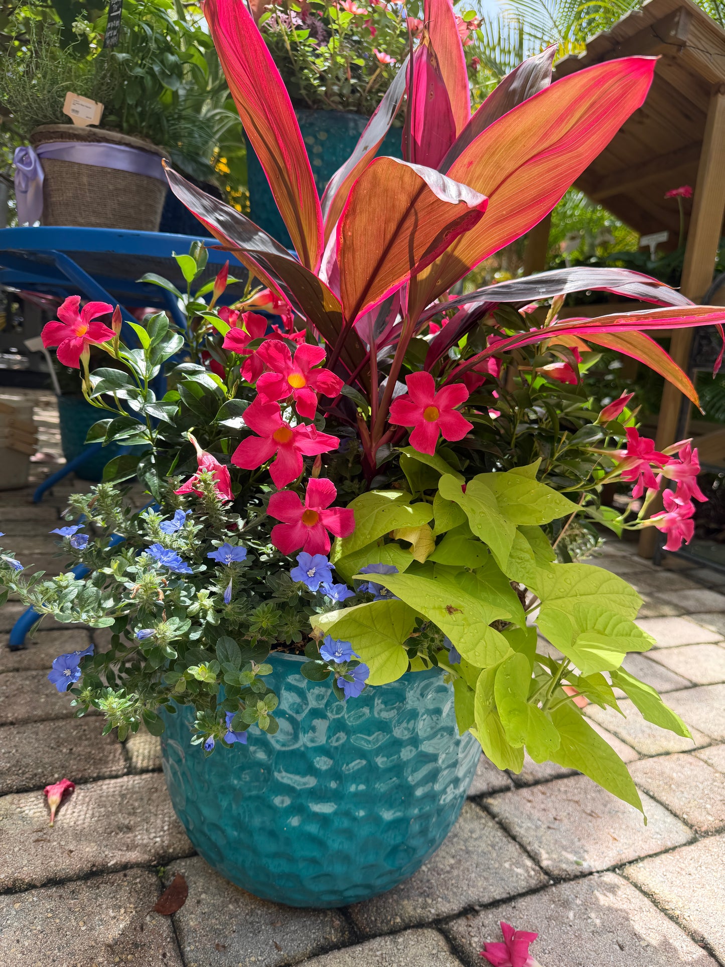 “Tropical Punch” Large Planter