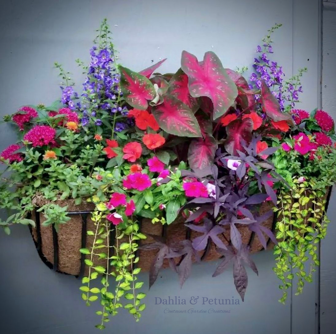 A custom planted hayrack planter hanging on a wall