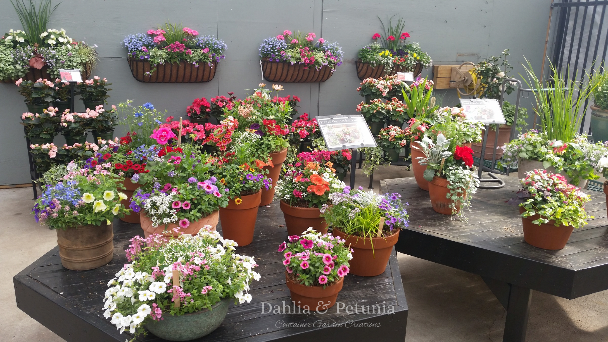 A large assortment of ready-made planters