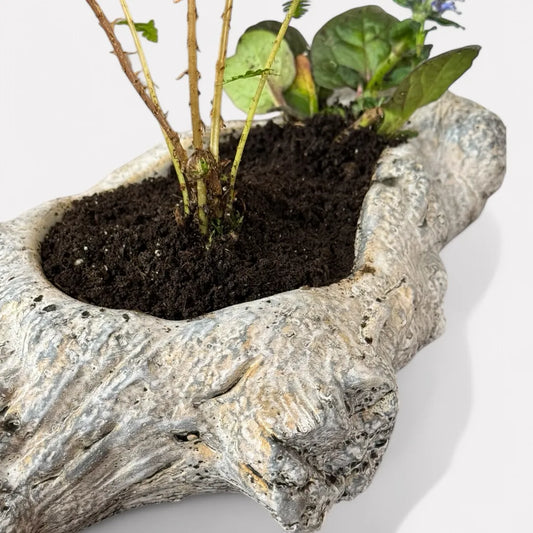 Oakes Cement Planter, Unique Driftwood-Inspired Design, 15"L x 6.5"W x 3.1"H