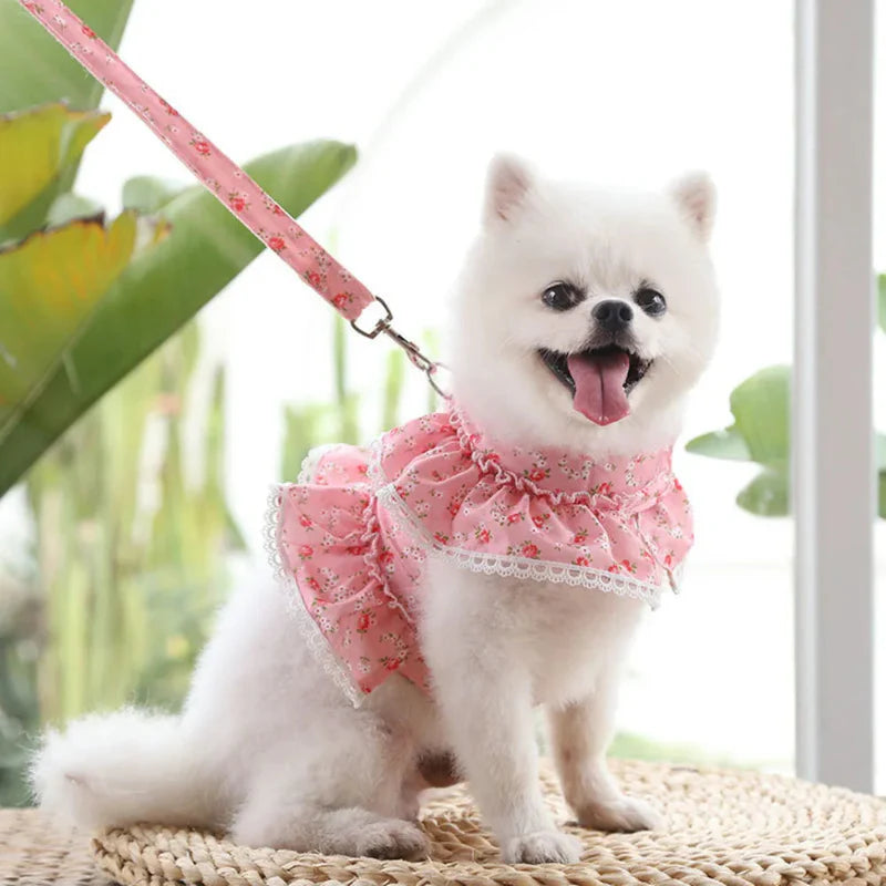 Dainty Floral & Lace Dog Harness