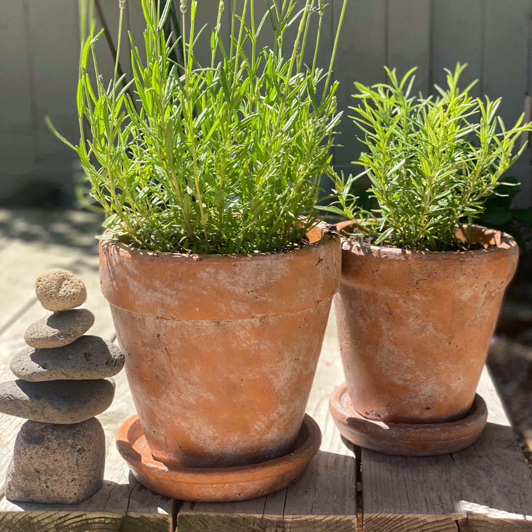Large Venice Cement Planter with Dish, Handcrafted in Aged Terracotta 8"D x 8"H